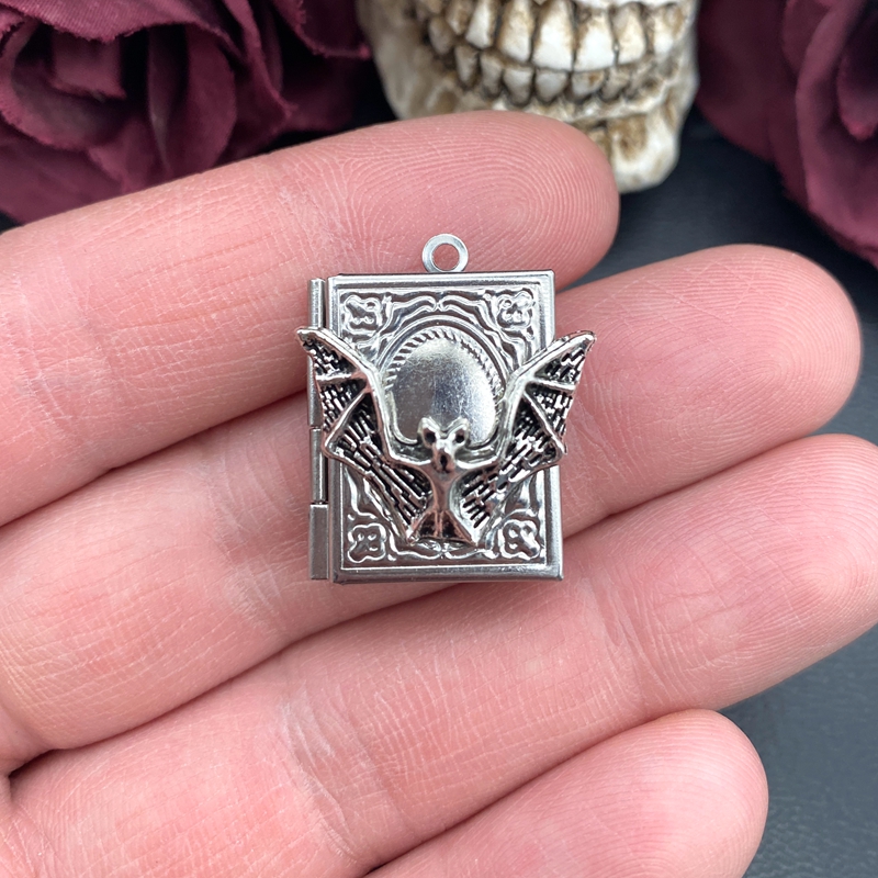 2pcs 27*22mm Bat Book Locket C – Jewelry Making Books Bewertung und Preis